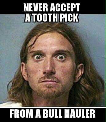 Bull hauler toothpick.jpg