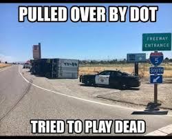 C0724E7B-D117-41DA-843A-41B1B3396CD7.jpeg