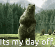 C0894547-9935-4955-8012-1C4FFE50C25E.gif