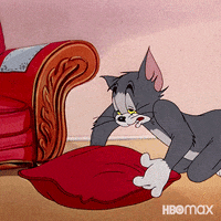 C1094BB9-3349-4B40-A8E9-6B9E64944716.gif