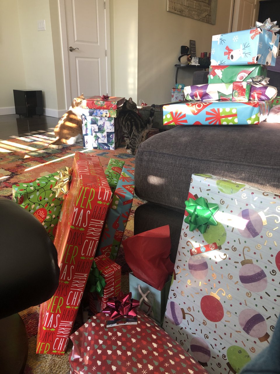 C7C10107-2904-4BB1-9992-8AB85C29CF0E.jpeg