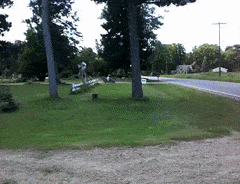 C811C0DF-0ECA-4736-A99B-A1DFC4EBFBE3.gif