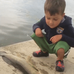 CA008907-0C48-46F9-989C-08E99D8E70CA.gif