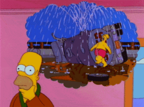 CAA36D20-9A71-4678-B498-ADA8D909F872.gif