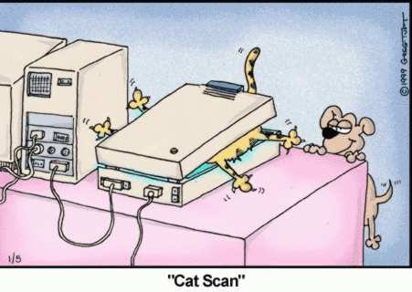 CATSCAN.JPG