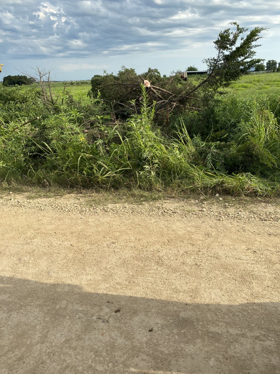 CEB62864-4C1F-4D9B-B5EA-0D48254F26A1.jpeg