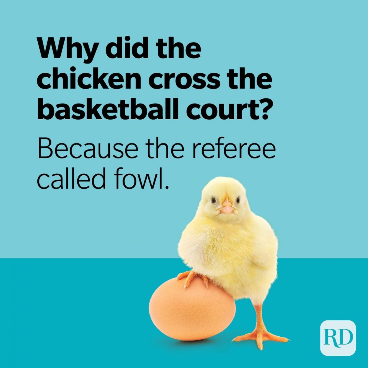chicken-puns-referee-called-fowl.jpg