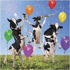 cows.jpg