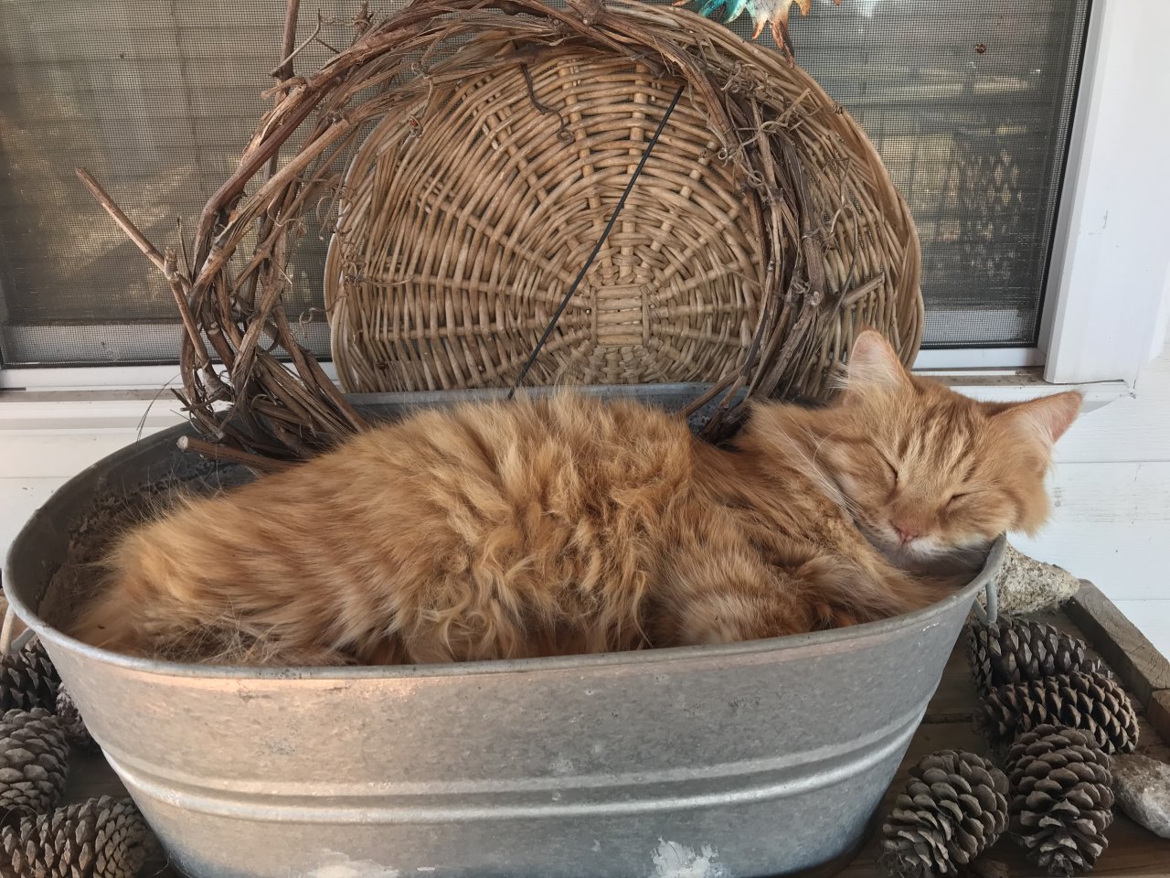 D0171632-2266-417E-953D-6AC6677B1626.jpeg