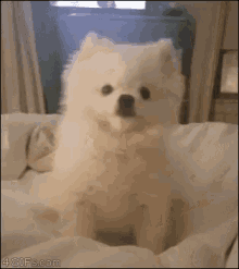 D10AEADF-A6A7-4E1B-AC2E-290AB55EDB30.gif
