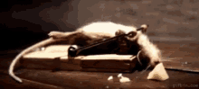 D2D94E5B-28BB-41AF-8E19-7B0F860250AC.gif