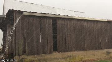 D564B4B9-5A6F-4CD5-8398-AF29D98EA83E.gif