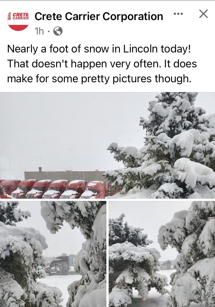 D644BAA4-899F-4606-8796-4BD587ED4E29.jpeg