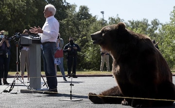 ddes24e_john-cox-with-bear_625x300_06_May_21.jpg