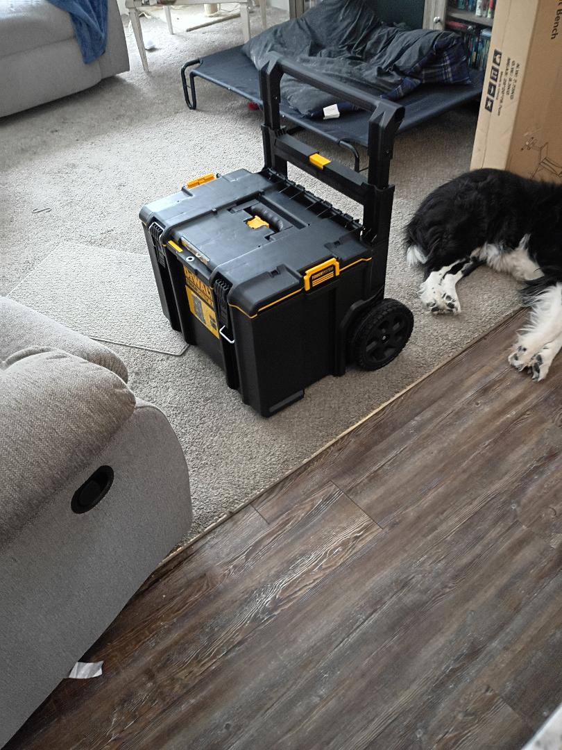 dewalt tool box.jpg