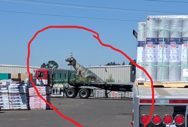 dino.jpg