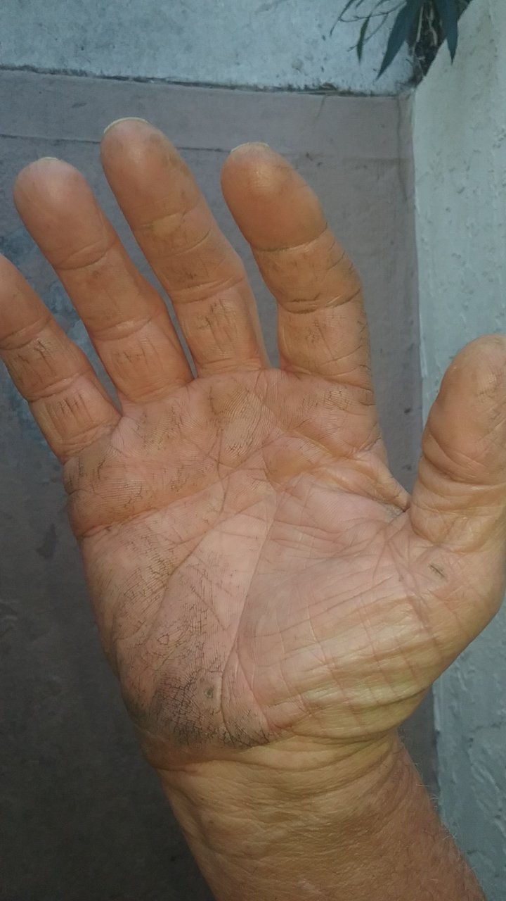 driving gloves2.jpg