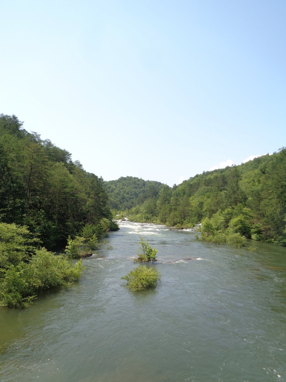 DSC09686.JPG