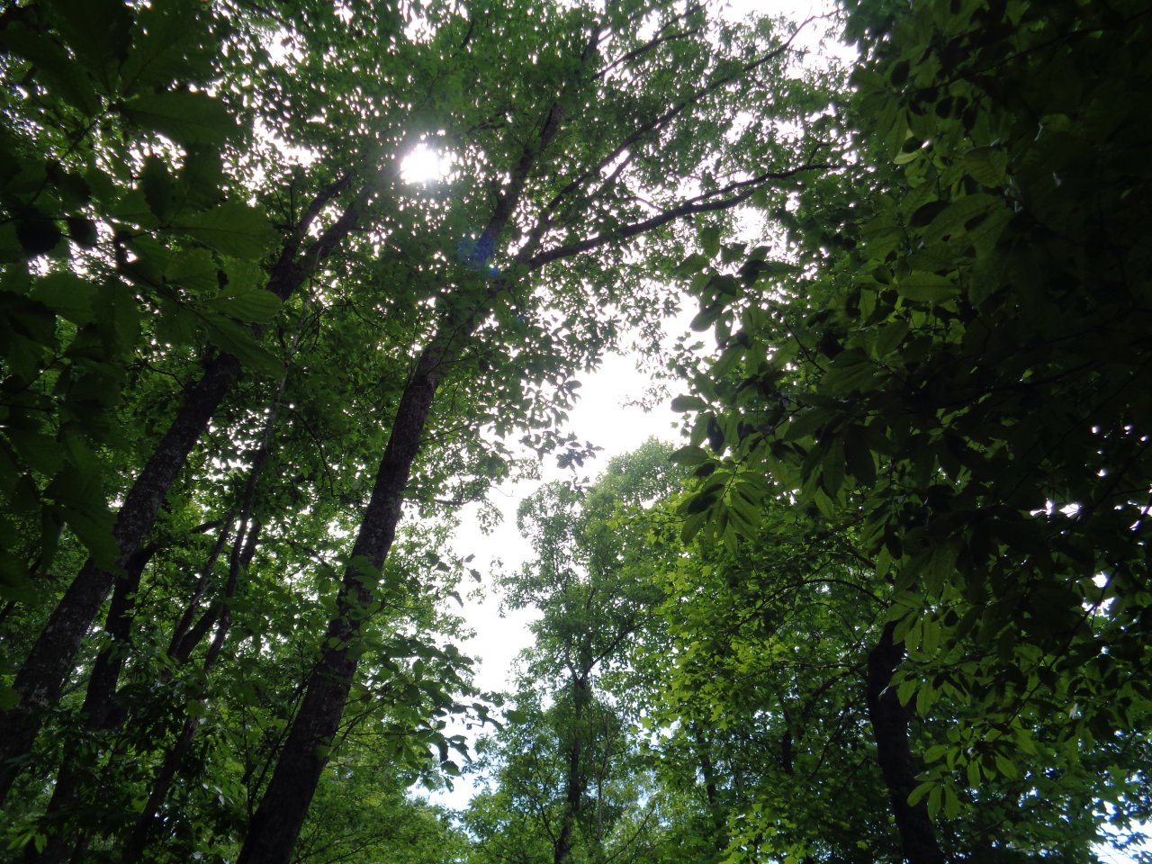 DSC09714.JPG
