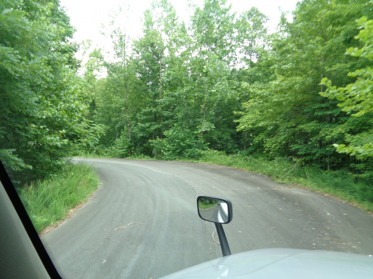 DSC09809.JPG