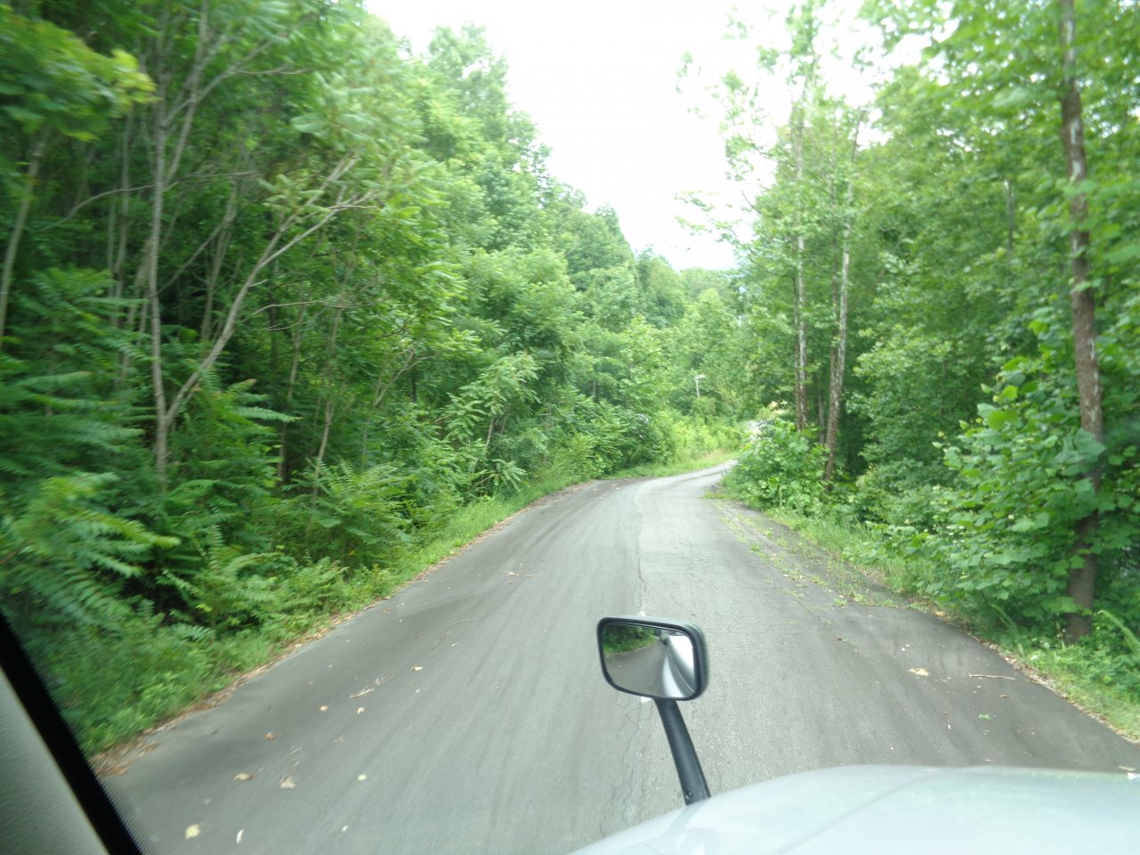 DSC09810.JPG