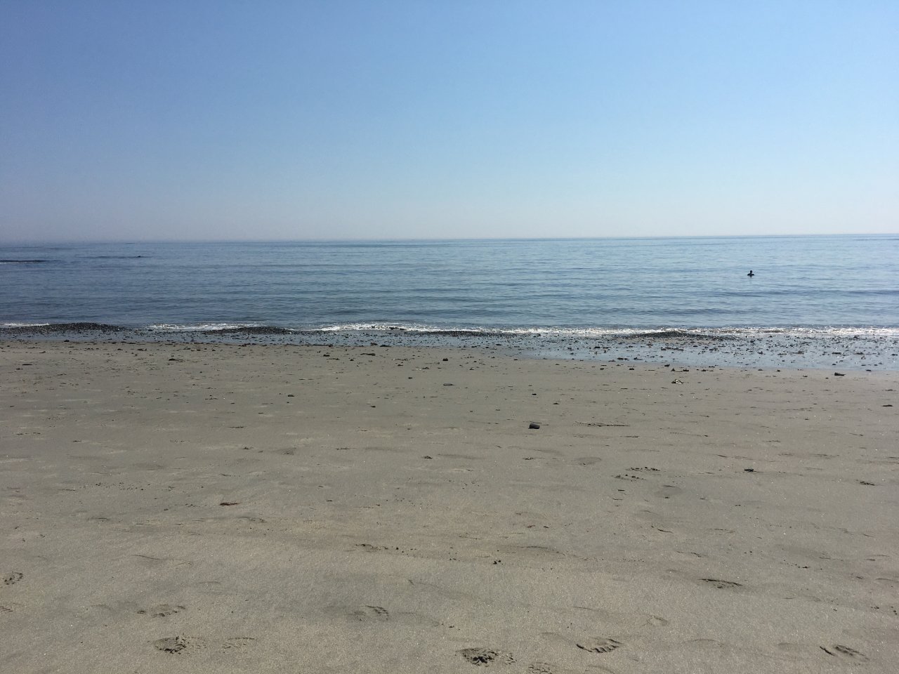 E049AB73-50EB-4F2A-9EA1-C657C54CAE84.jpeg