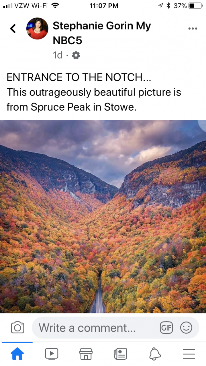E6C290E9-F7C9-4C00-9D45-22569BC0112D.png