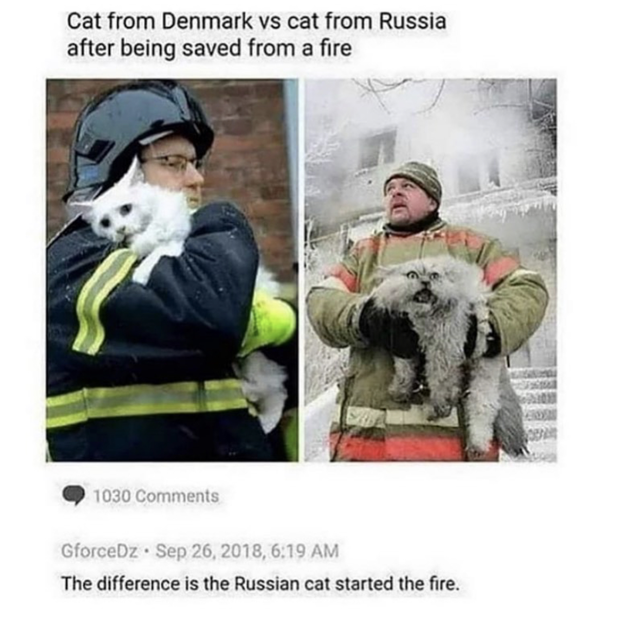 E7E2105F-1E1E-47FF-A662-15B998E7D931.jpeg