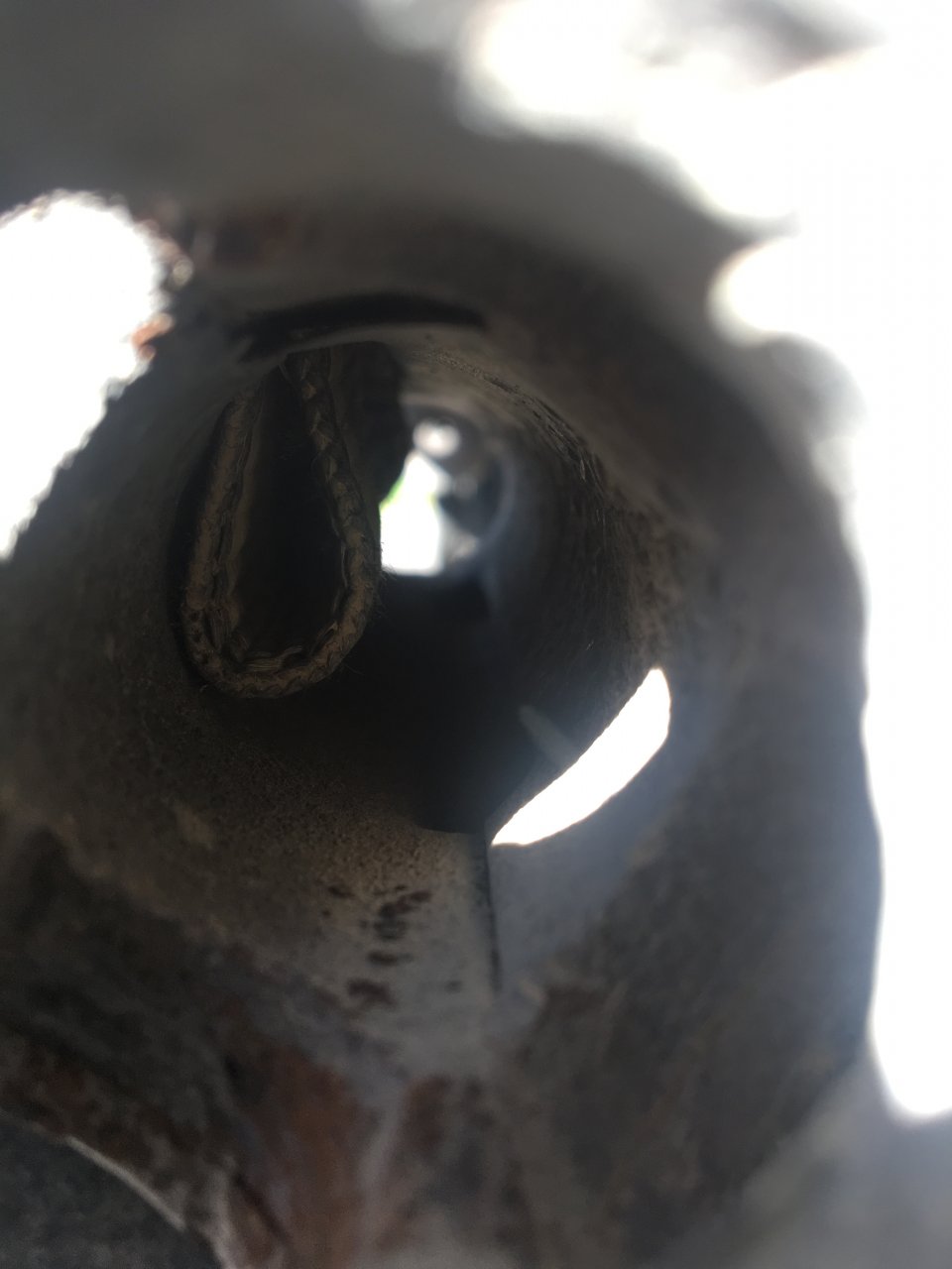 E848A6FF-8D5D-4593-895D-0DAE4B30E007.jpeg