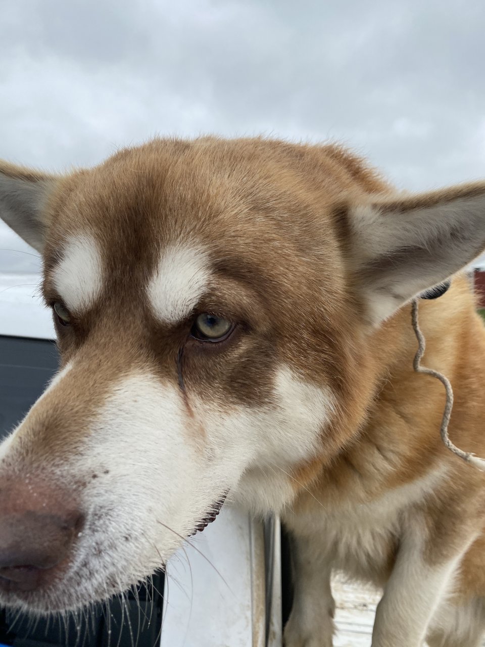 EEB95F1F-B7D0-43F9-A50F-9EF9889AB171.jpeg