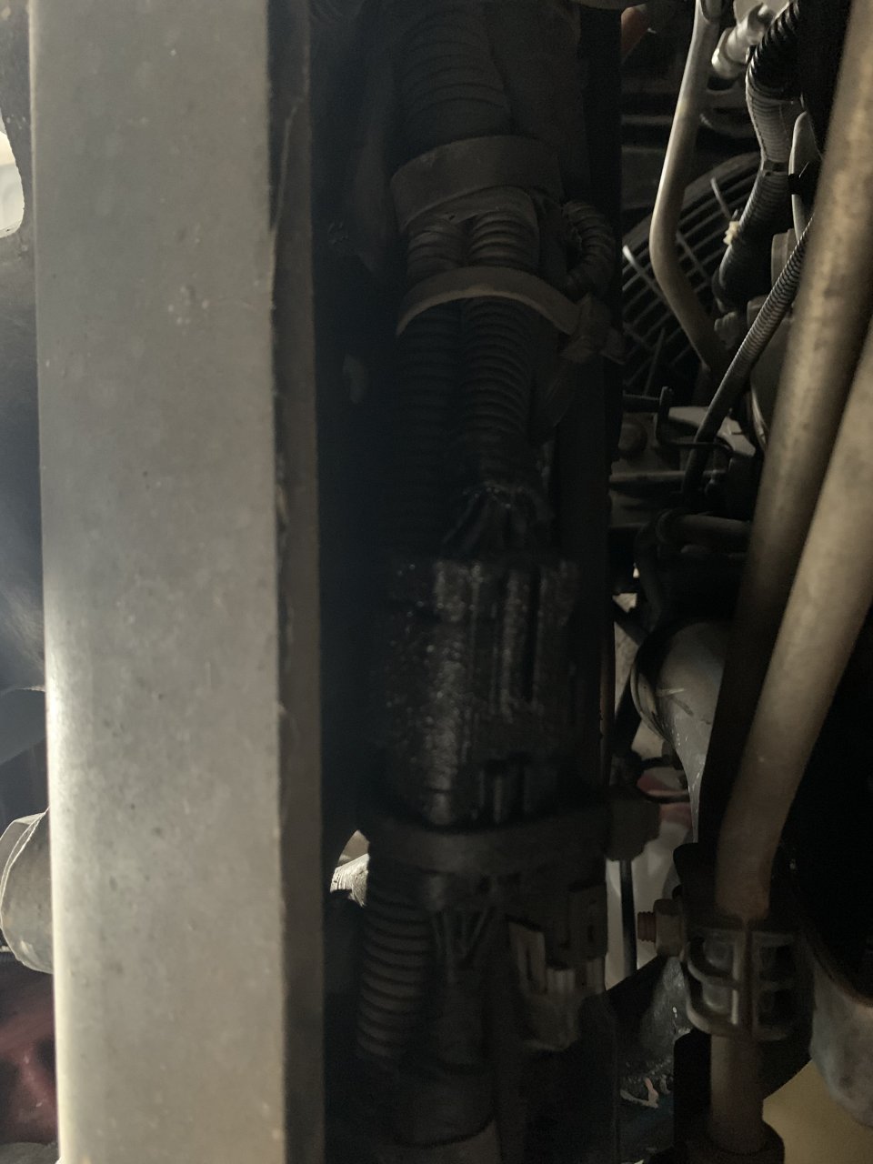EECFA348-7AF0-4A03-BC65-2382B5622589.jpeg