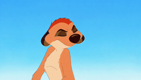 F33B4928-5AC1-483F-8314-7C583CBF3BA2.gif