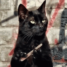 F76B23F4-56F9-4349-AA73-296DFF6593F6.gif