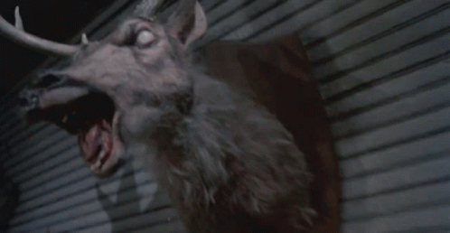 F79BD737-D2BE-4308-B7FC-DA3BAD6A4980.gif
