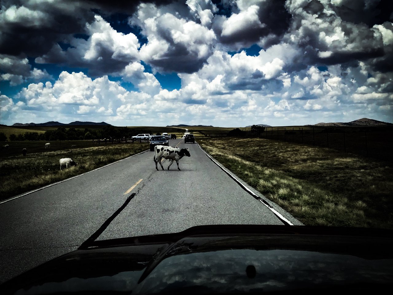 F9860298-2606-4C1B-95AF-D2A3F87E252F.jpeg