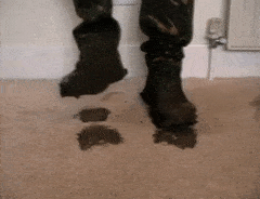 FA27C0F6-8C83-4A69-856A-62BA61CF78F1.gif