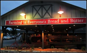 Farming-Is-Everyones-Bread-and-Butter-300x185.jpg