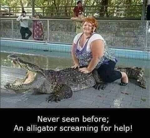 FB_IMG_1562432540740.jpg
