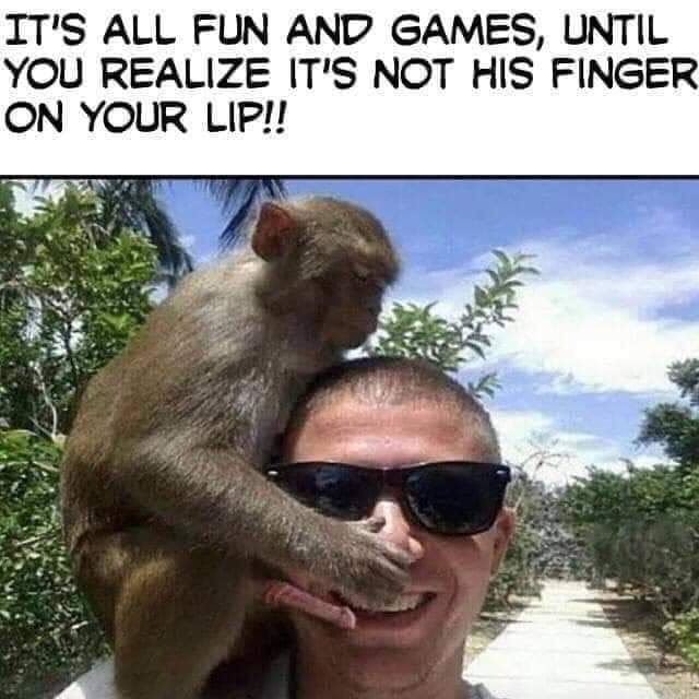 FB_IMG_1588286899397.jpg