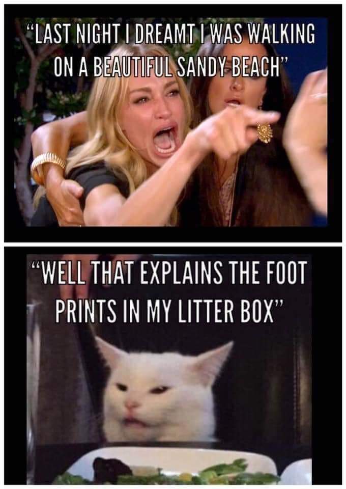FB_IMG_1590853690129.jpg