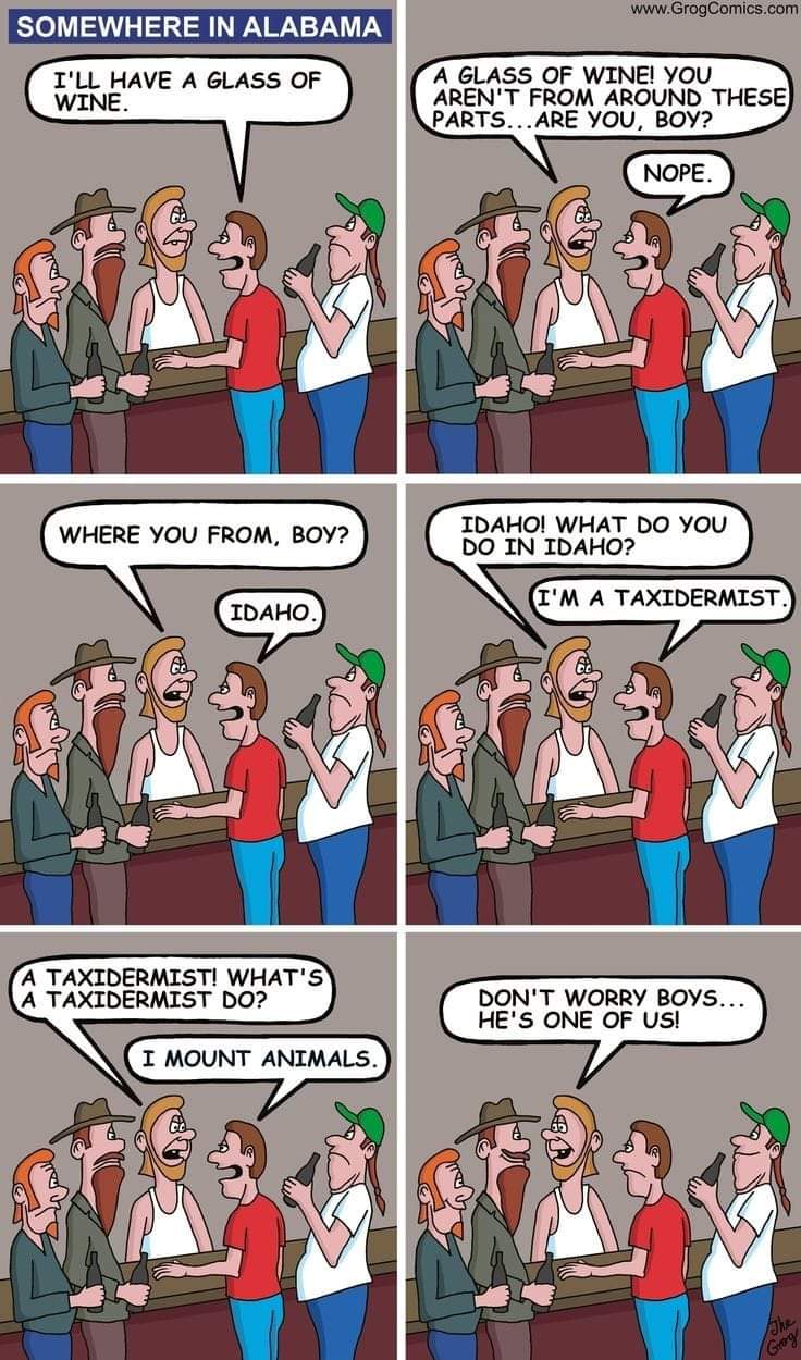 FB_IMG_1687798373445.jpeg