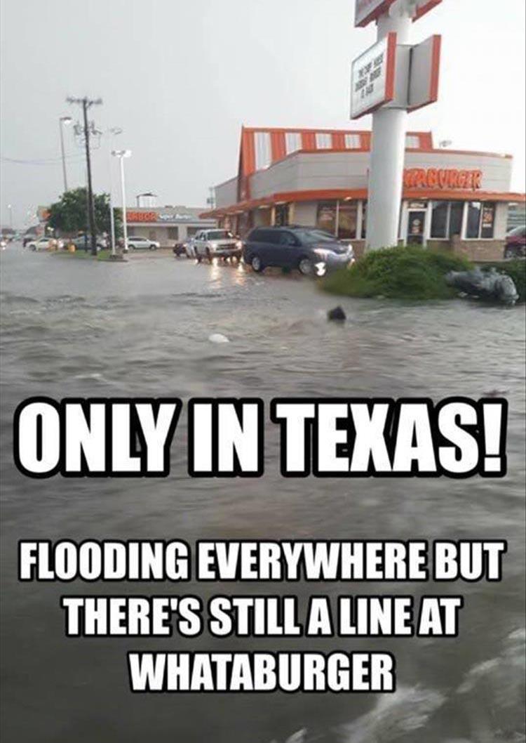 ff_5865.jpg