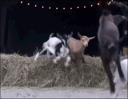 fHR0X5PiXsUSY.gif