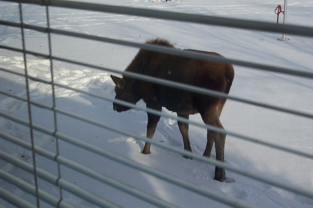 Front Window.JPG