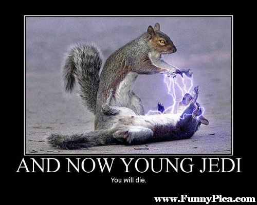 Funny-Squirrels-Funny-Squirrel-Picture-13-FunnyPica.com_.jpg