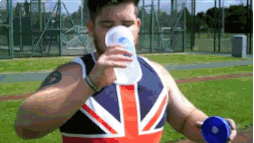giphy (3).gif