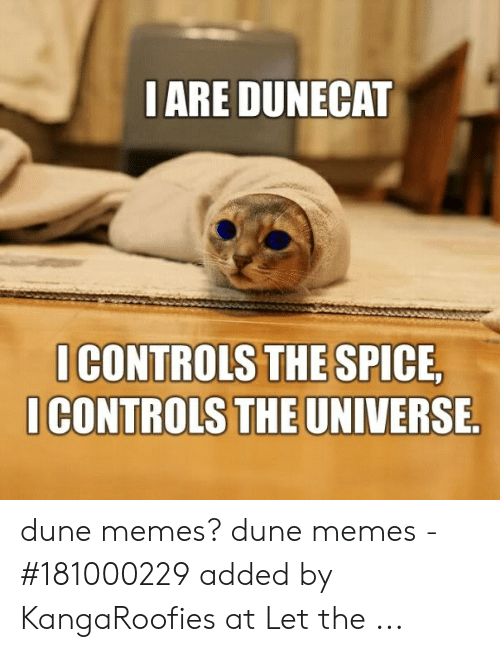 i-are-dunecat-icontrols-the-spice-icontrols-the-universe-dune-51722264.png