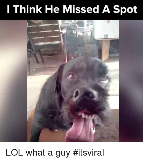 i-think-he-missed-a-spot-lol-what-a-guy-13520755.png