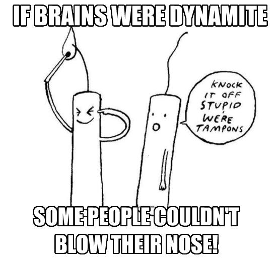If Brains Were Dynamite.JPG