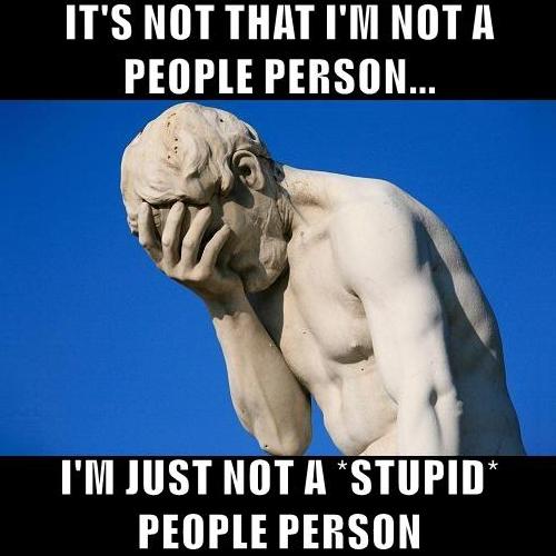 I'm Just Not A Stupid People Person.jpg